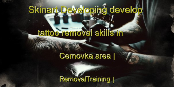 Skinart Developing develop tattoo removal skills in Cernovka area | RemovalTraining | RemovalClasses | SkinartTraining-Lithuania